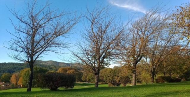Golf Resort De Digne-Les-Bains By Adonis מראה חיצוני תמונה